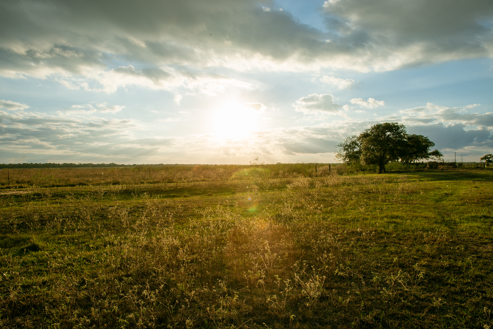 Texas Ranch Field Sunset Prairie Ranch | Pristine Undeveloped Land for Sale in Texas